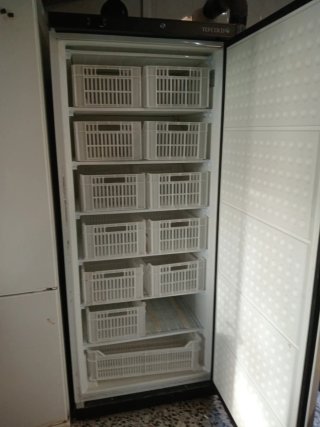 Congelador Hostelería TELCOLD