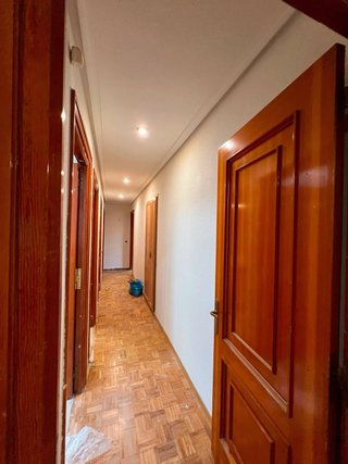 Pintor profesional