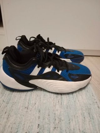 Zapatillas basket número 39 1/3
