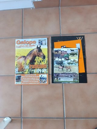 Galope la cultura del caballo