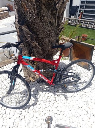 Bicicleta de montaña roja