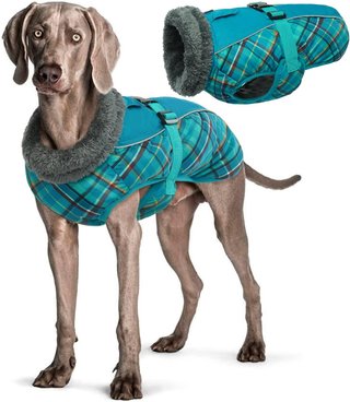 Ropa para Perros, Chaqueta XL para Perros, Abrigo para Perro Impermeable, Abrigos para Perros