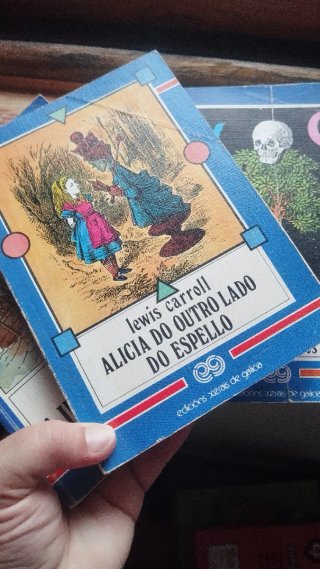 Pack libros juveniles gallego