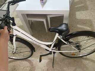 Bicicleta B-PRO Fairway 26