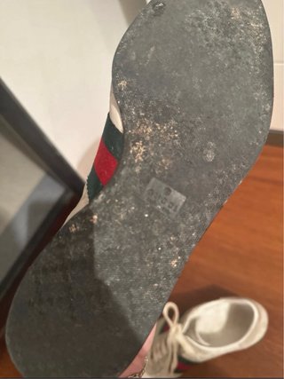 Zapatillas Gucci Talla 36