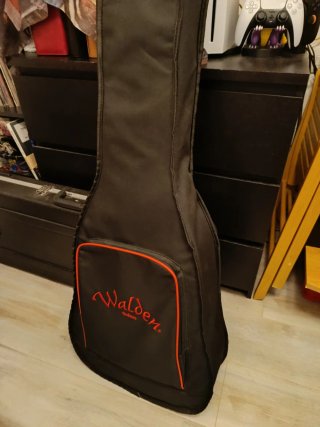 Guitarra Acústica Walden G.Auditorium G550EW