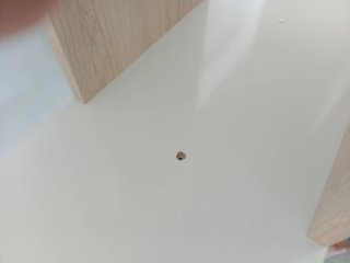 Estantería blanca diseño madera