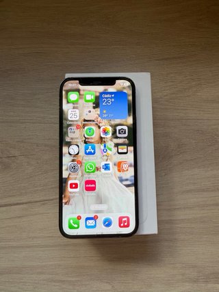 iPhone 12 Pro 256GB Gris Grafito