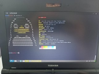 Netbook Toshiba NB250