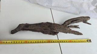 Raíz Driftwood porosa para acuarios
