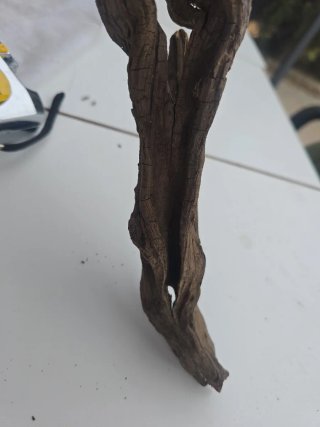 Raíz Driftwood porosa para acuarios