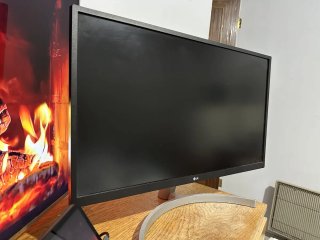 Monitor LG Negro/Plateado