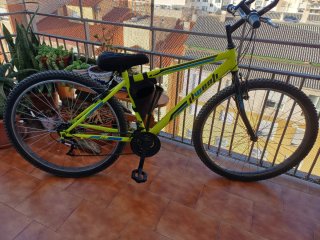 Bicicleta Montaña Verde Muy Buen Estado