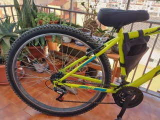 Bicicleta Montaña Verde Muy Buen Estado