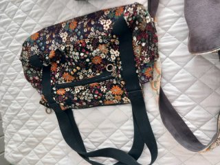 Lote de bolsos y mochila