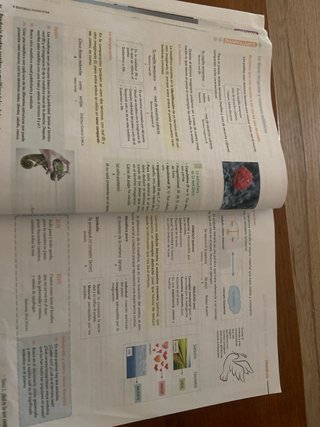 Lengua Castellana Y Literatura 2 Eso Comunidad ...
