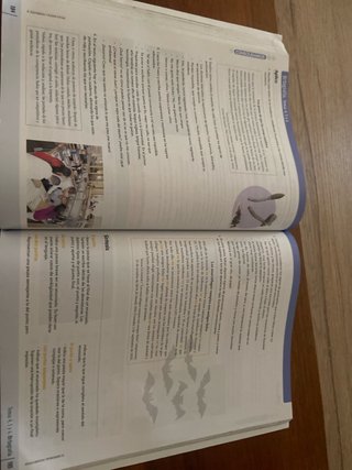 Lengua Castellana Y Literatura 2 Eso Comunidad ...