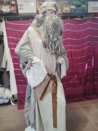 Disfraz Gandalf Señor de los Anilllos