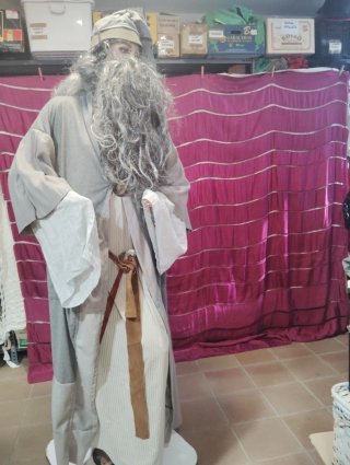 Disfraz Gandalf Señor de los Anilllos