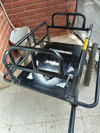 Carro de carga para bicicleta