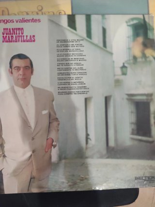 Lote / Selección de 14 Discos de Vinilo (LP)