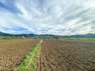 terreno agricola