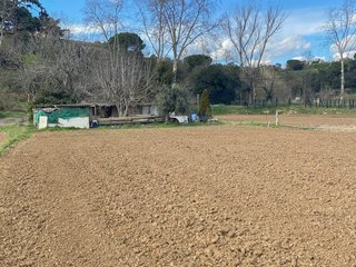 terreno agricola