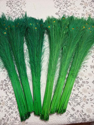 Pluma de pavo real verde