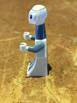 Lego Star Wars Taun We