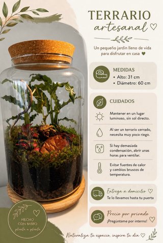 Terrario artesanal hecho con mimo