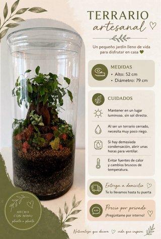 Terrario artesanal hecho con mimo
