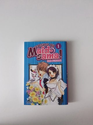 Lote de Mangas, NO se venden por separado.