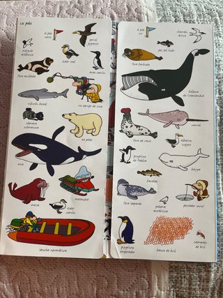 Busca y encuentra en el océano