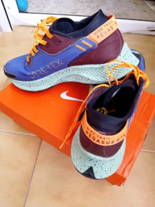 Nike Pegasus Zapatillas Running Gorotex  Hombre