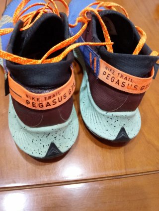 Nike Pegasus Zapatillas Running Gorotex  Hombre