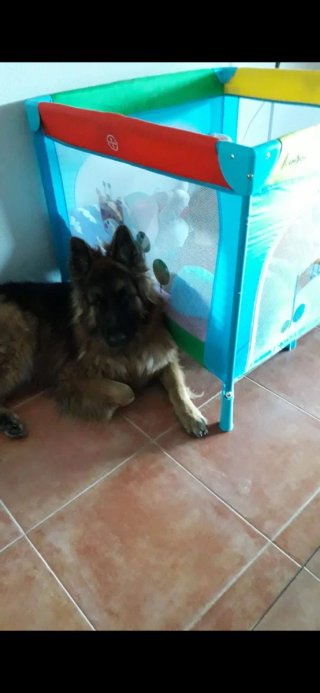 Cuna de viaje Olmitos