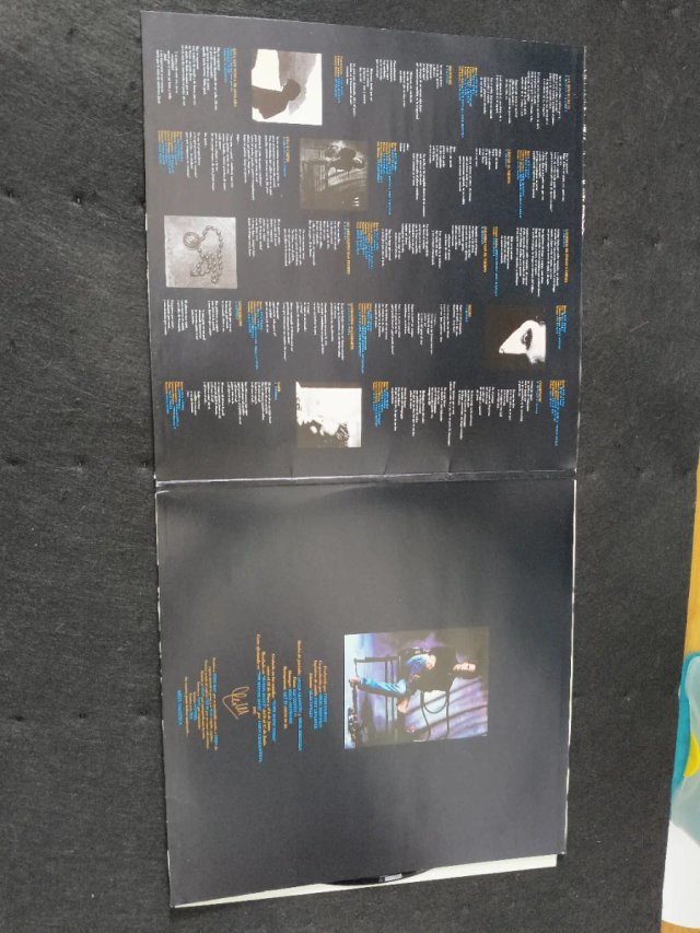 Vinilo Mikel Erentxun Naufragios