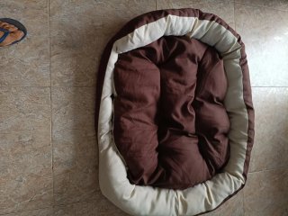 Cama para perro/gato beige y marrón