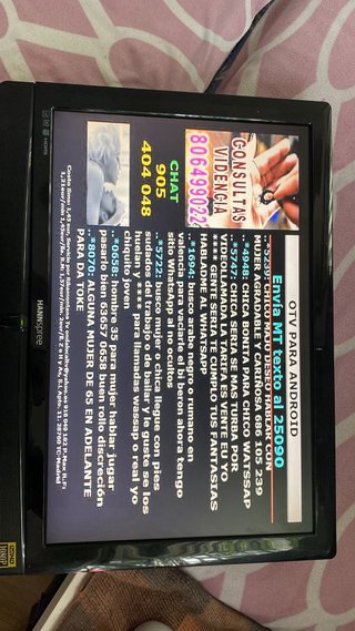 TV Hannspree 28 LCD TDT (sin mando)
