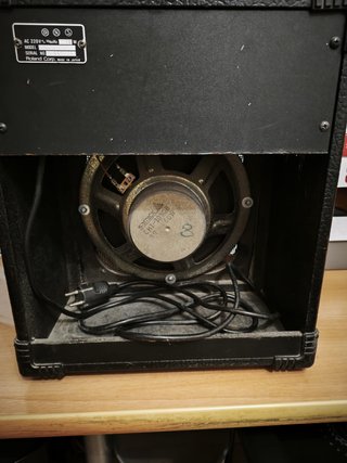 Amplificador Roland DAC-15X