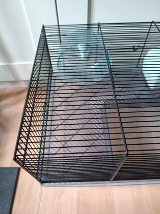 Jaula para hamster