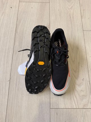 Dynafit Alpine DNA Zapatilla Trail Running