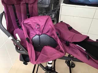 Carro Bugaboo Camaleón