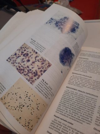 Laboratorio de Citología y de Anatomía Patológica