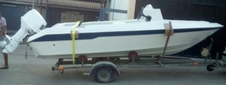 Barco Sea Ray 160 con motor Suzuki DT85 y remolque