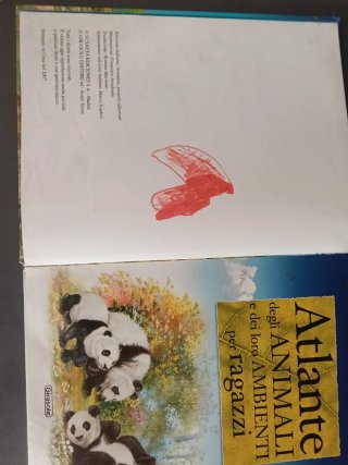 Atlante degli animali e dei loro ambienti. Ediz...