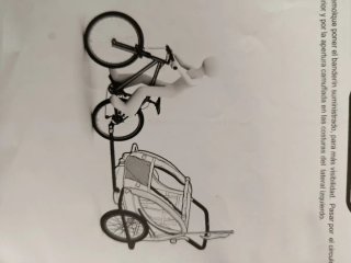 Remolque bici 1-2 niños