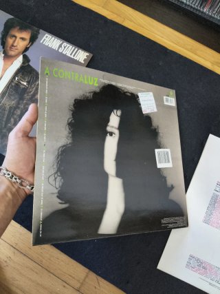 Vinilos Frank Stallone y Luz