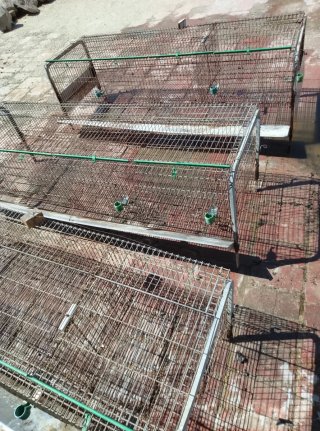 Lote 3 jaulas para conejos grandes+accesorios