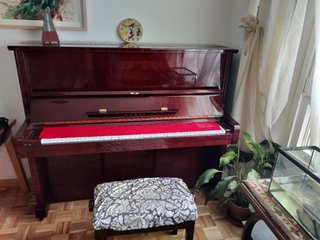 Piano Kawai BL-51 Pared